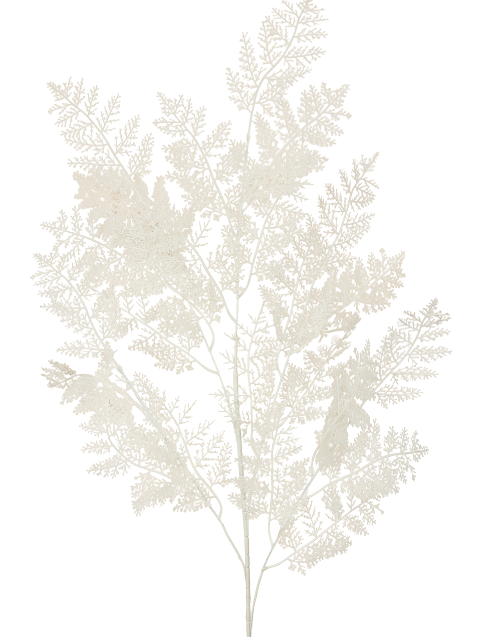 Plastic Lace Fern | Available in 3 Colors