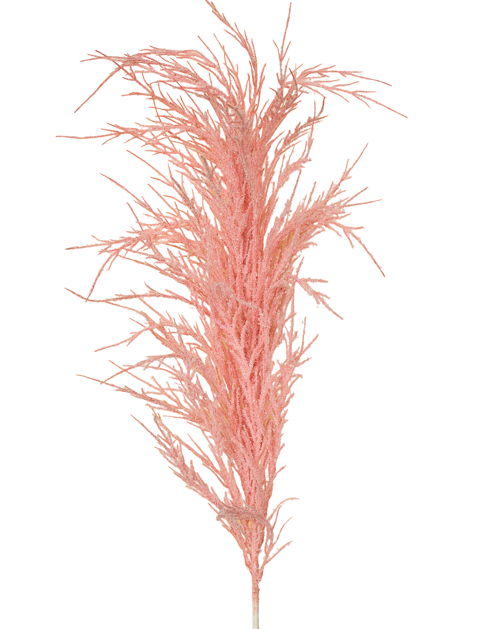 Flocked Decorative Plume | Available in 4 Colors