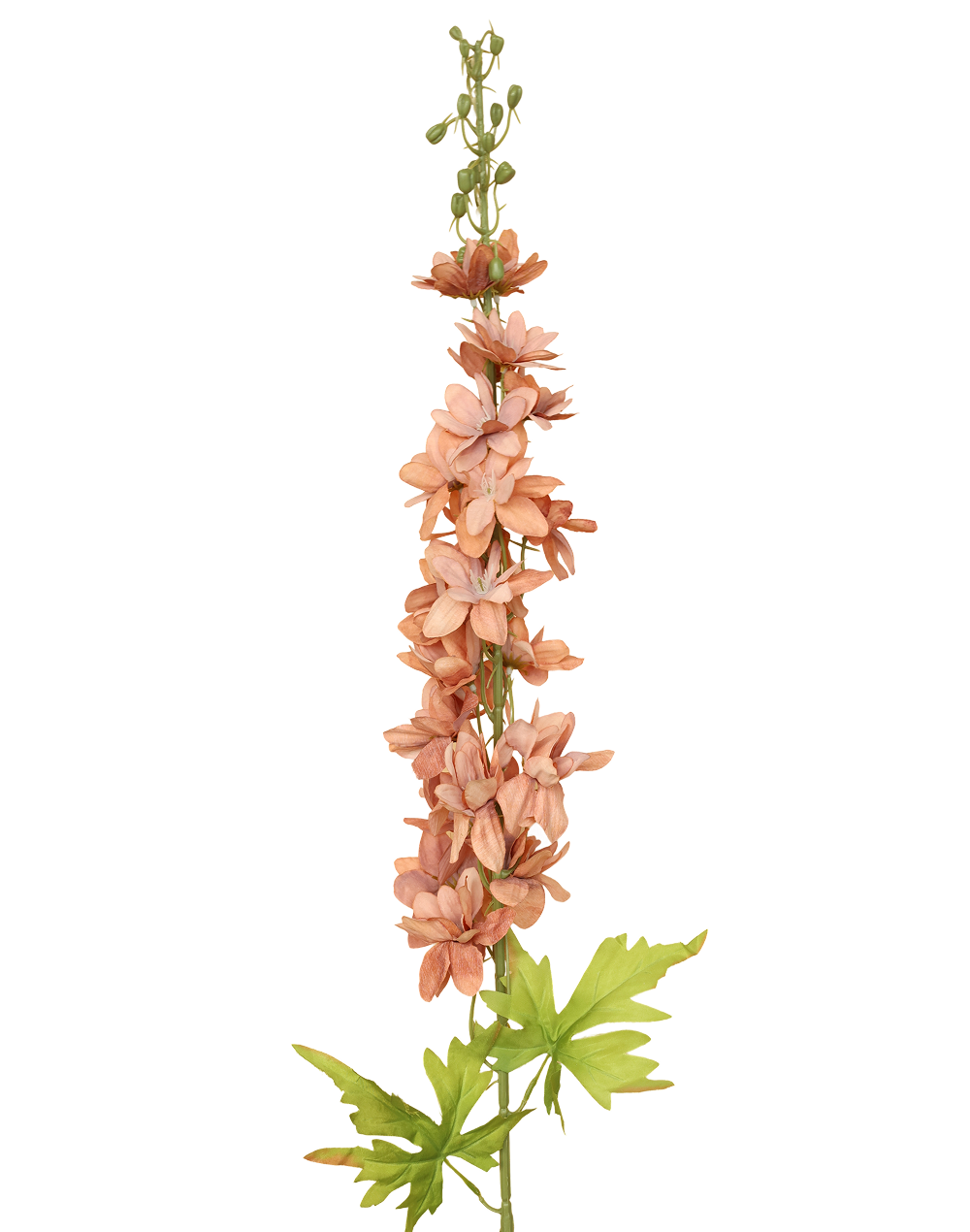 Delphinium Flowering Spray | Available in 3 Colors