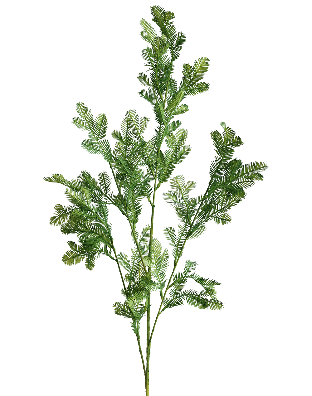Cedar Spray Green