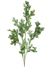 Cedar Spray Green
