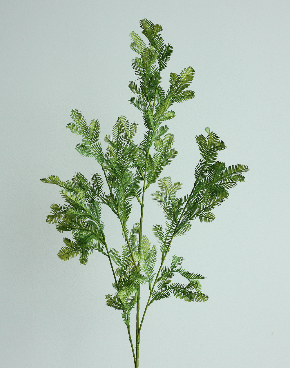 Cedar Spray Green