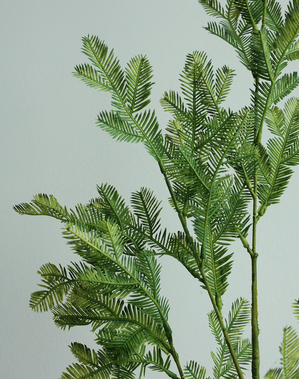 Cedar Spray Green