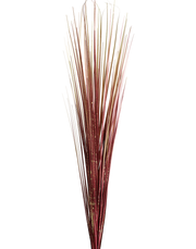 Foxtail Grass Spray | Available in 3 Colors
