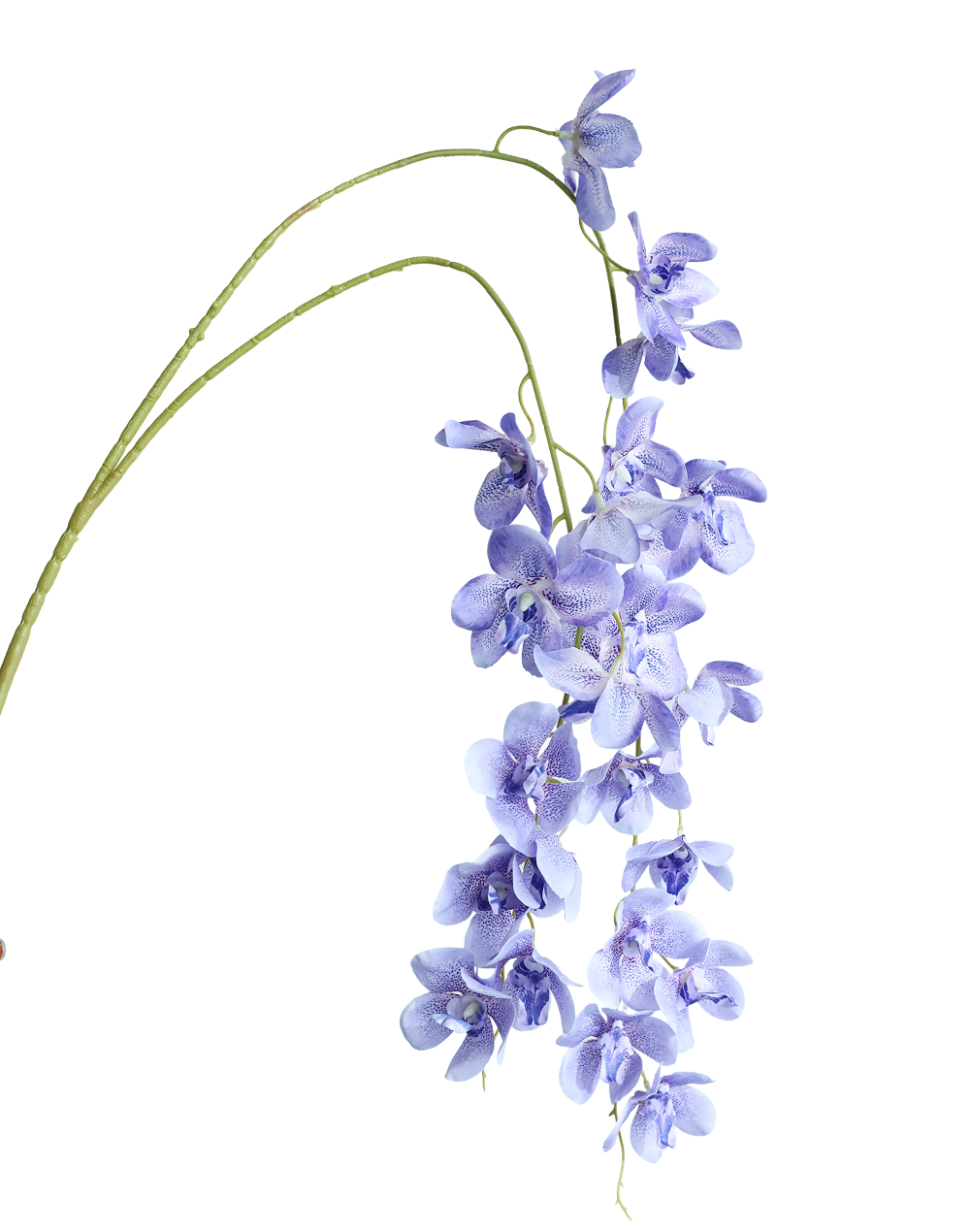 Orchid Spray | Available in 2 Colors