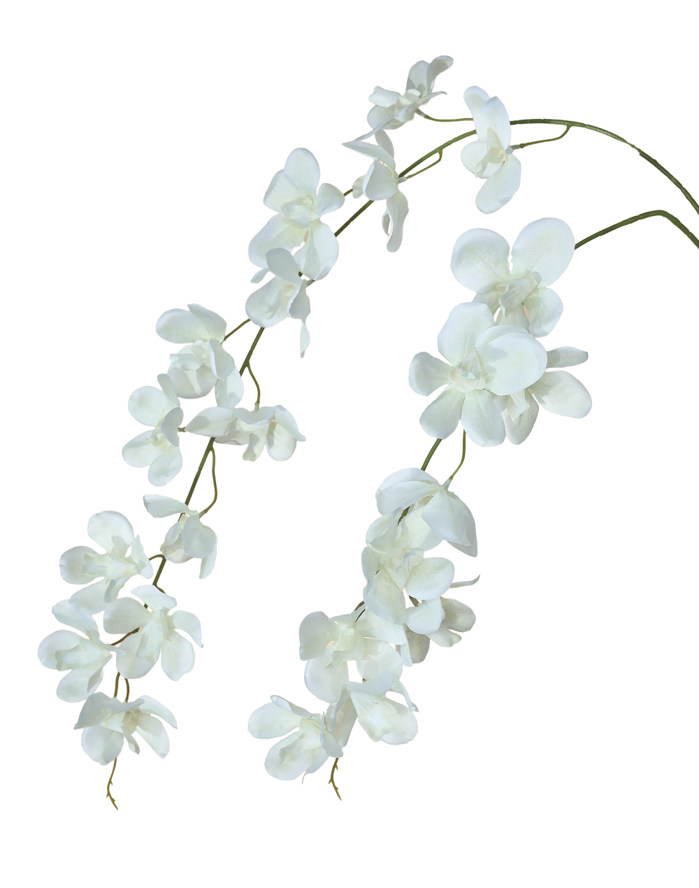 Orchid Spray | Available in 2 Colors