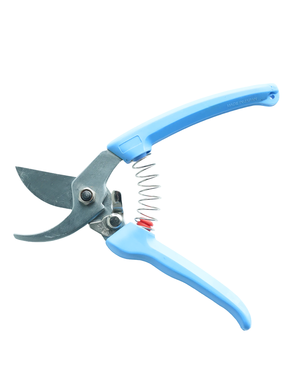 Professional Prune Cutter