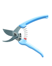 Professional Prune Cutter