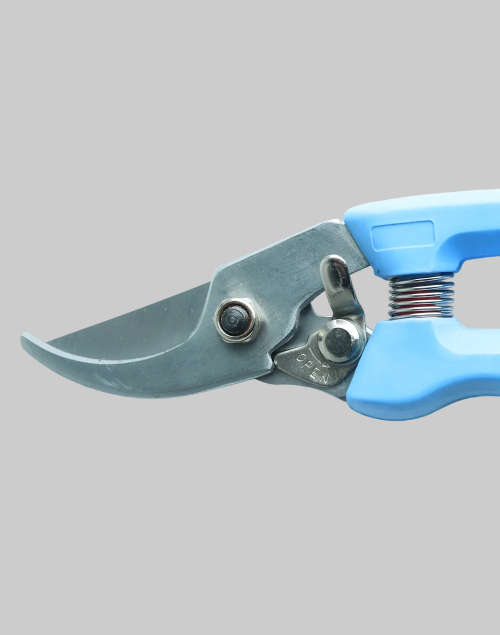 Professional Prune Cutter