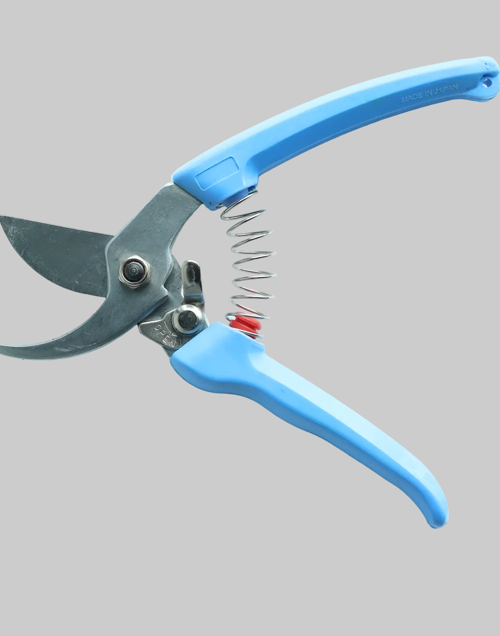 Professional Prune Cutter