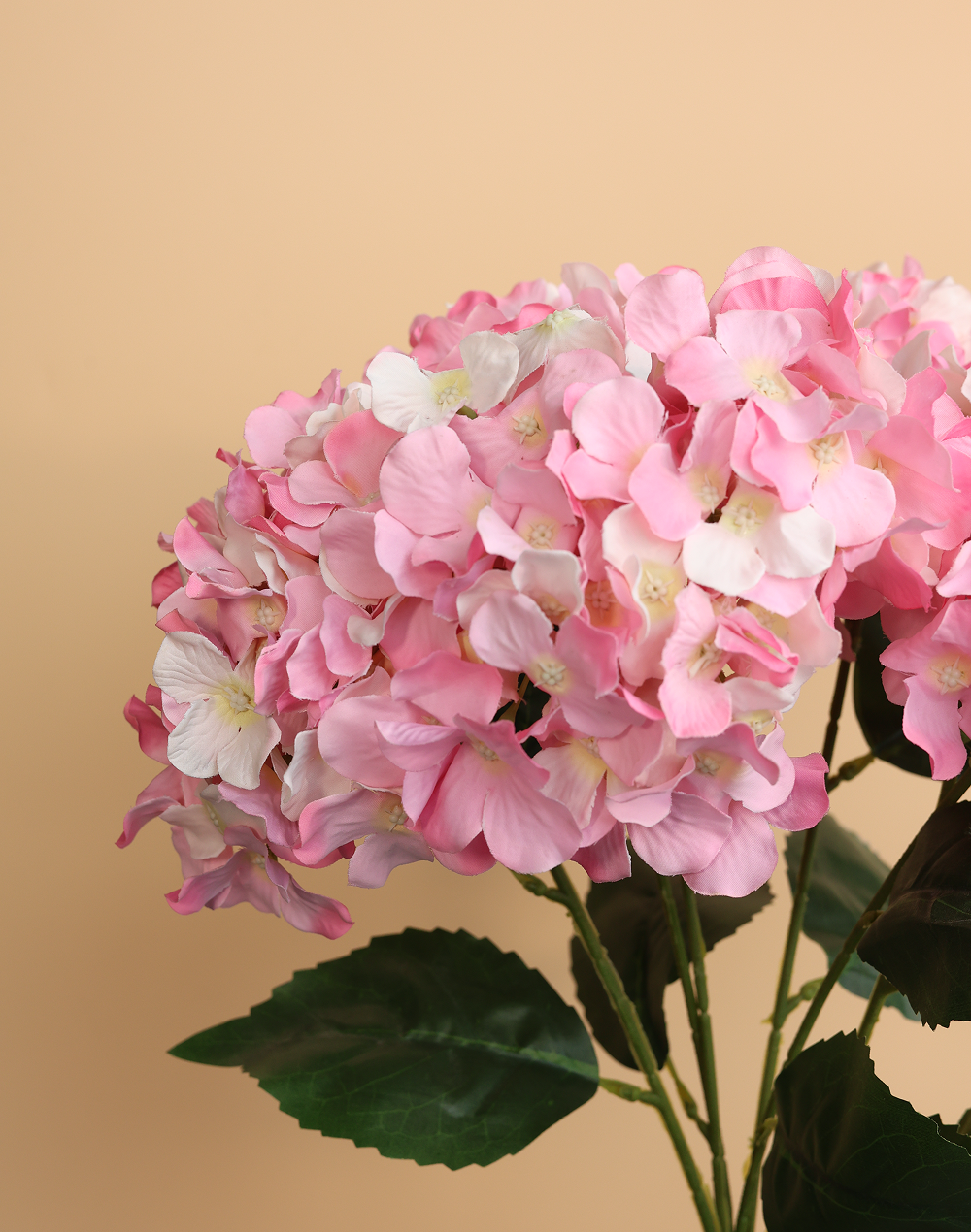 Light Pink Hydrengea bunch-5 Stems Pink