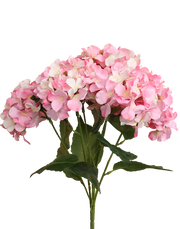 Light Pink Hydrengea bunch-5 Stems Pink