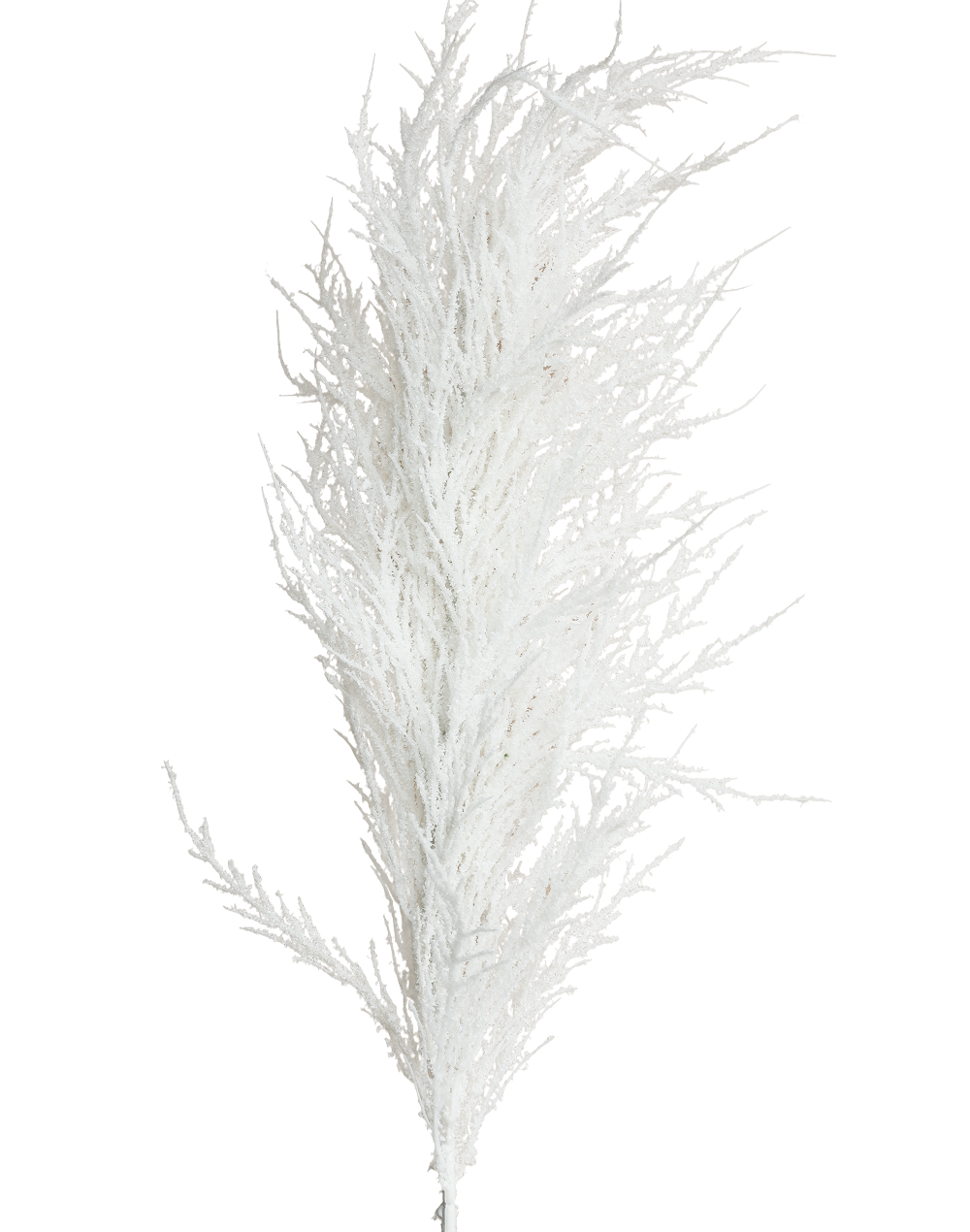 Flocked Decorative Plume | Available in 4 Colors