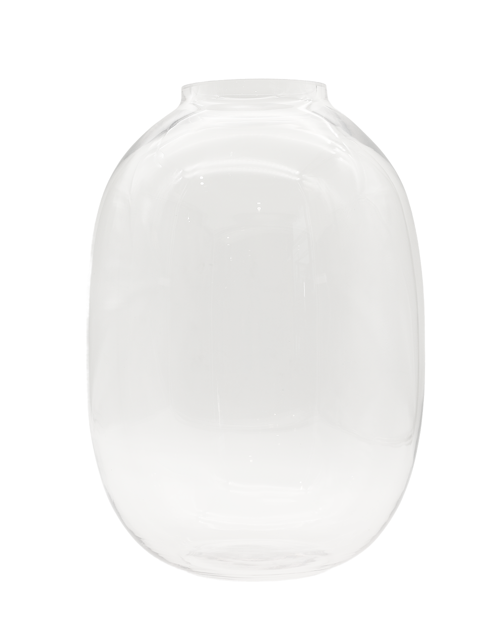Large Clear Capsule Vase