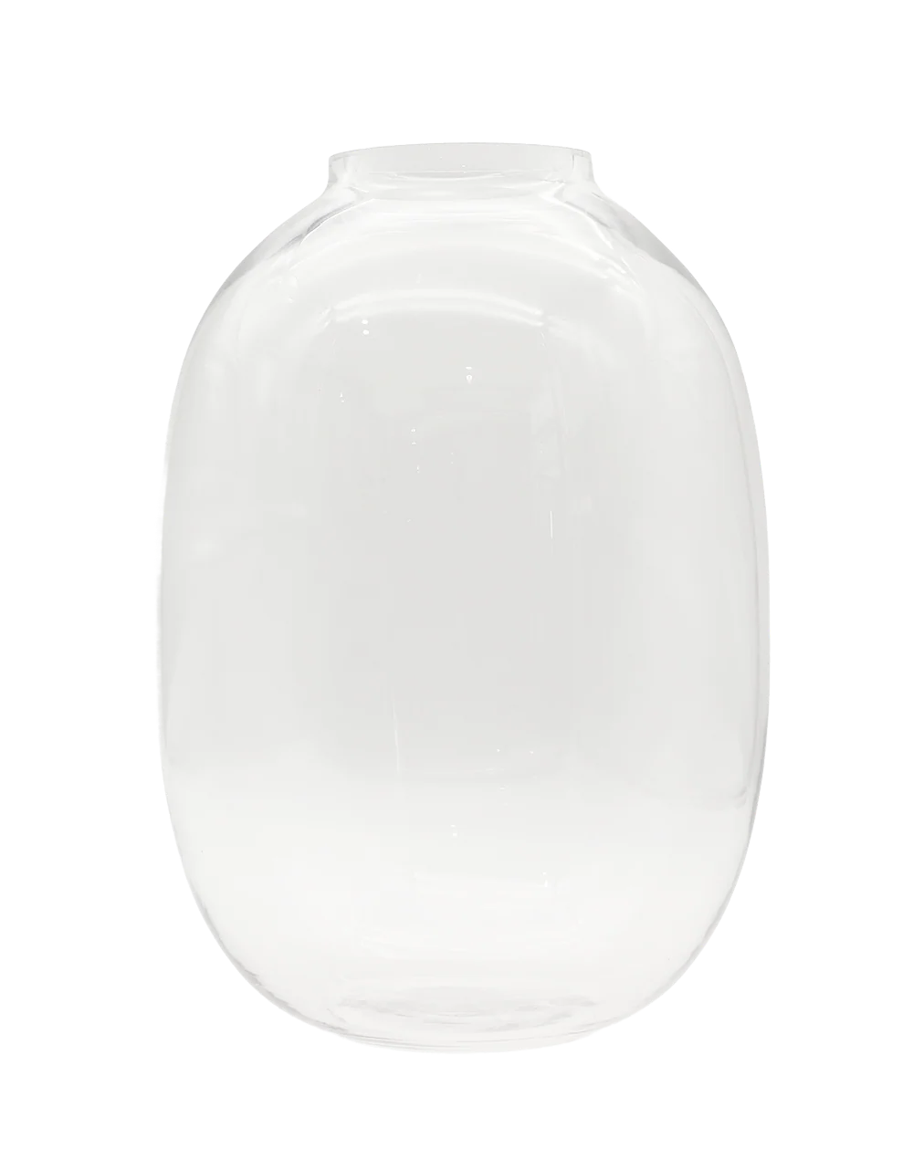 Large Clear Capsule Vase