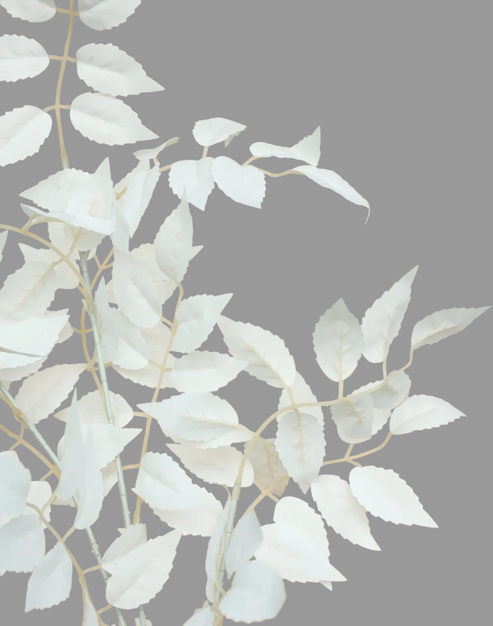 White Leave Branch-37"
