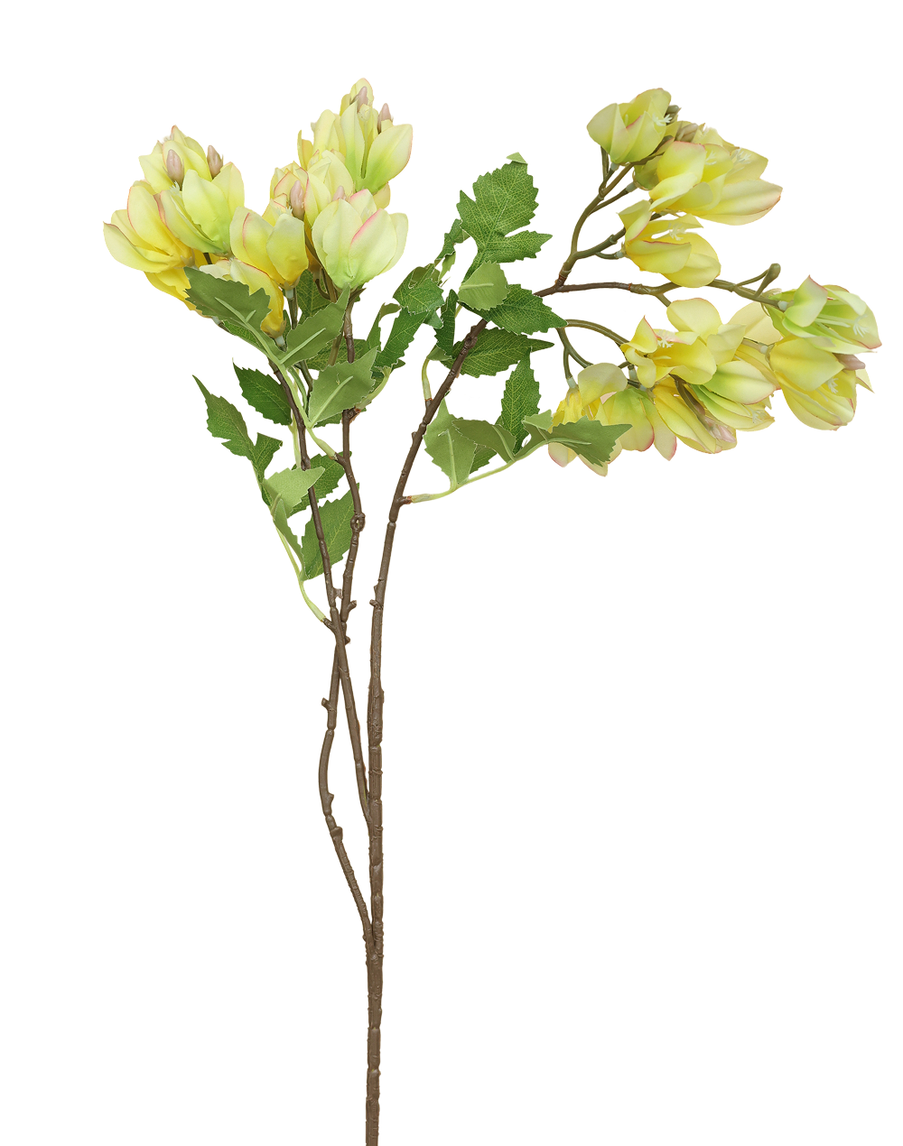 Blossoming Branch | Available in 2 Colors