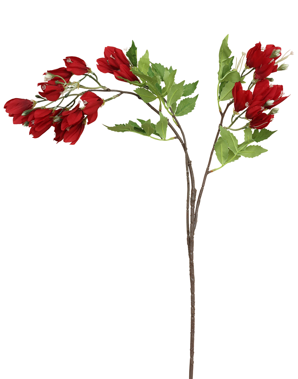 Blossoming Branch | Available in 2 Colors