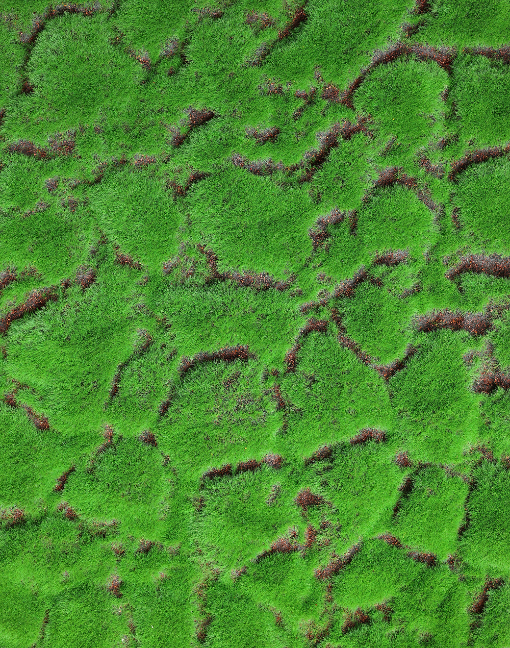Wales Moss Panel Green
