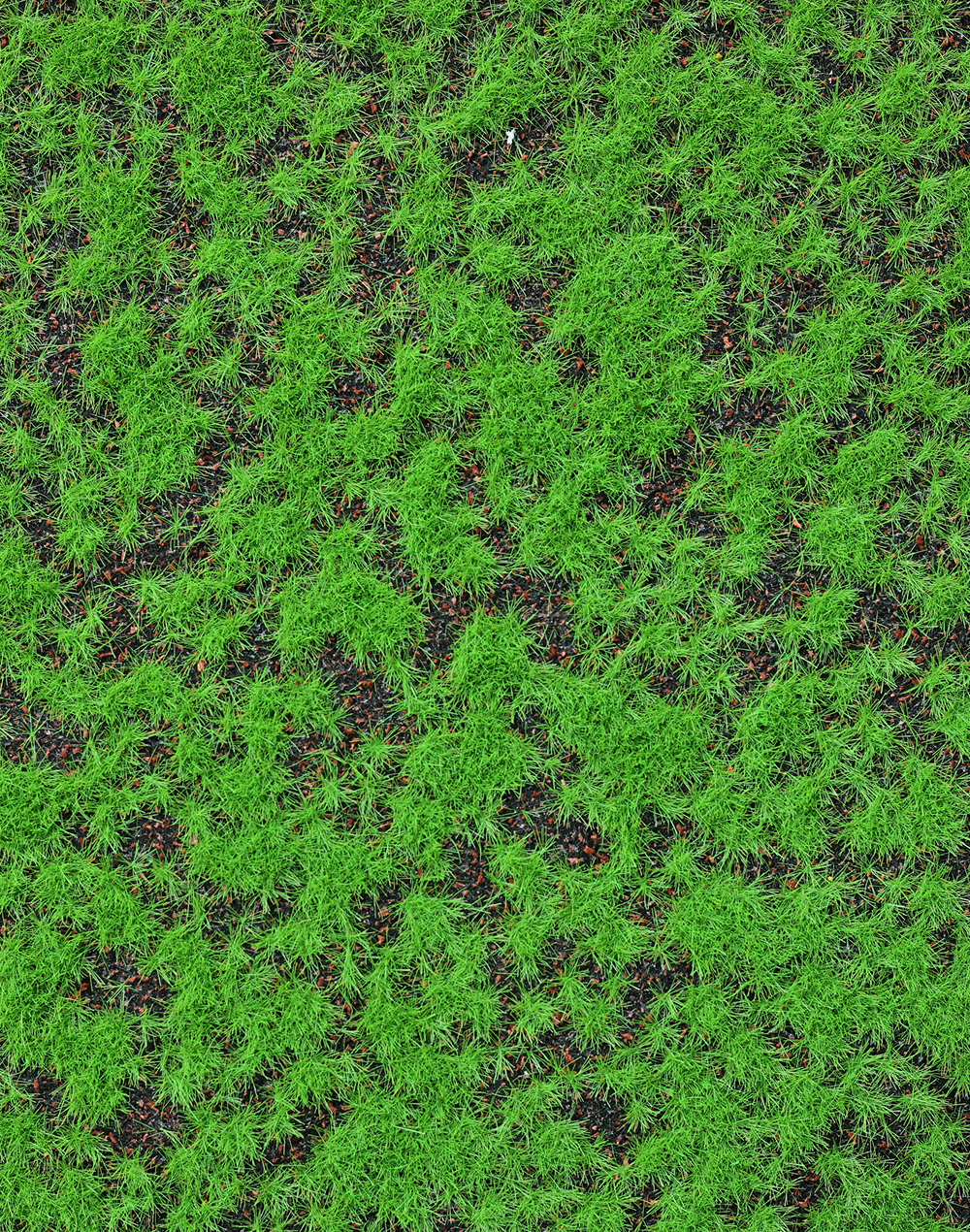 Moss Sheet