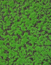 Moss Sheet