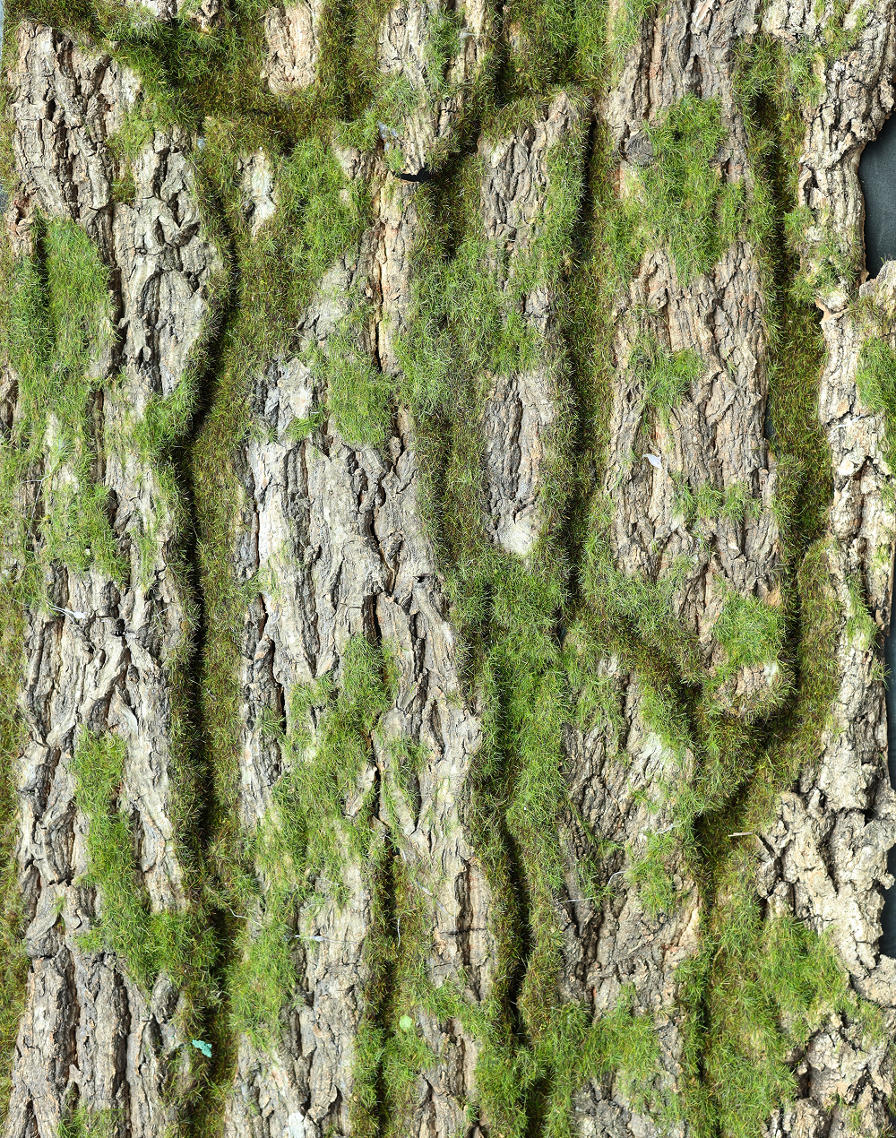 Tree Bark Wall Panel