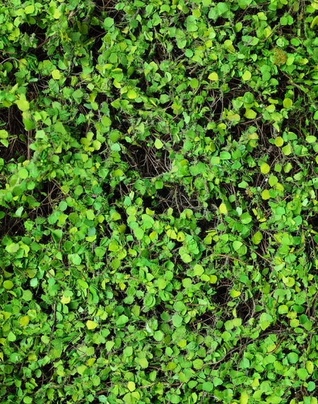 Artifical Green Panel