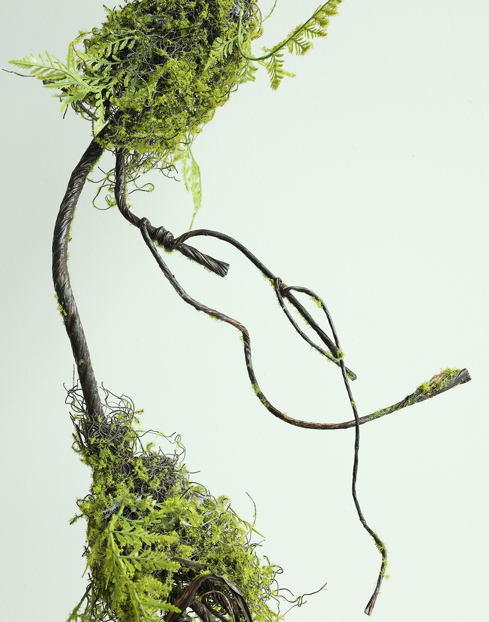 Large Twisted Corkscrew Vine