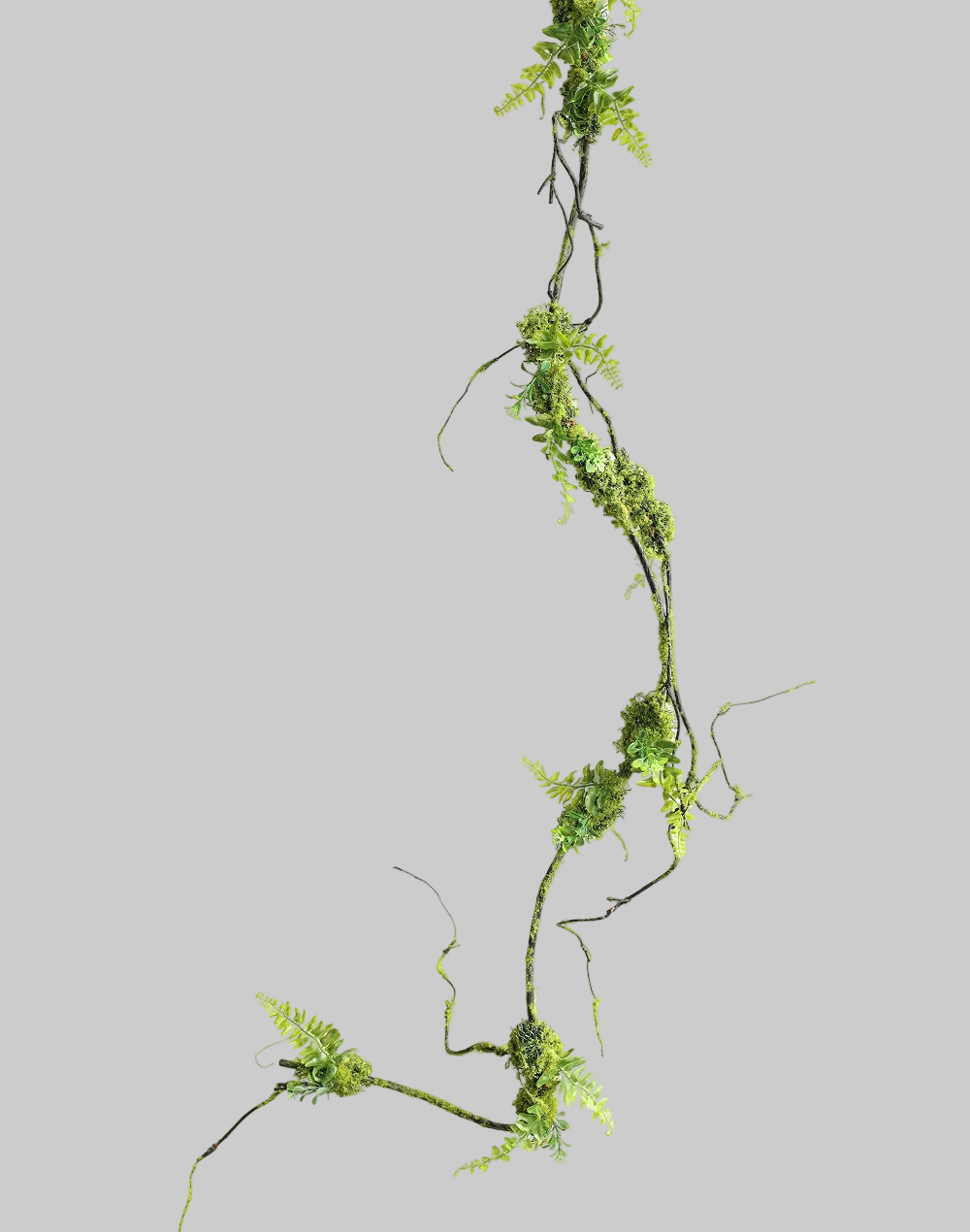 Prouted Pine Vine