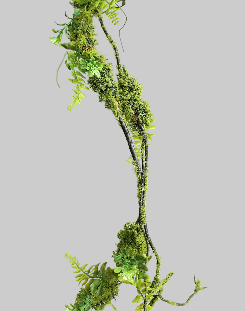 Prouted Pine Vine