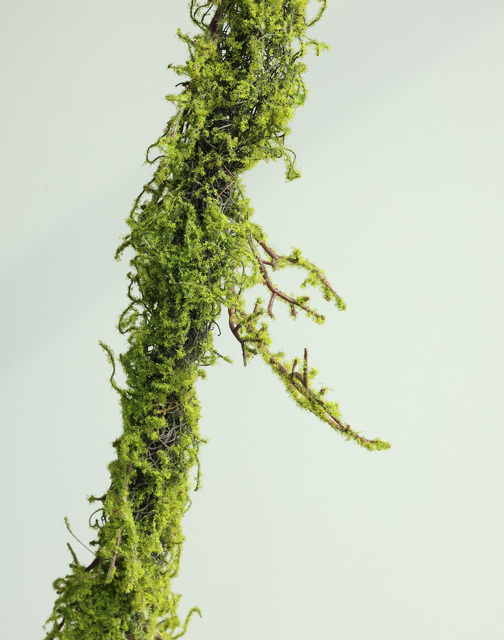 Mossy Forest Vine