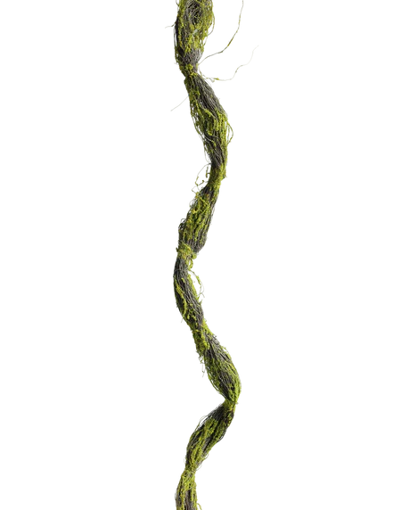 Tree bark Vine