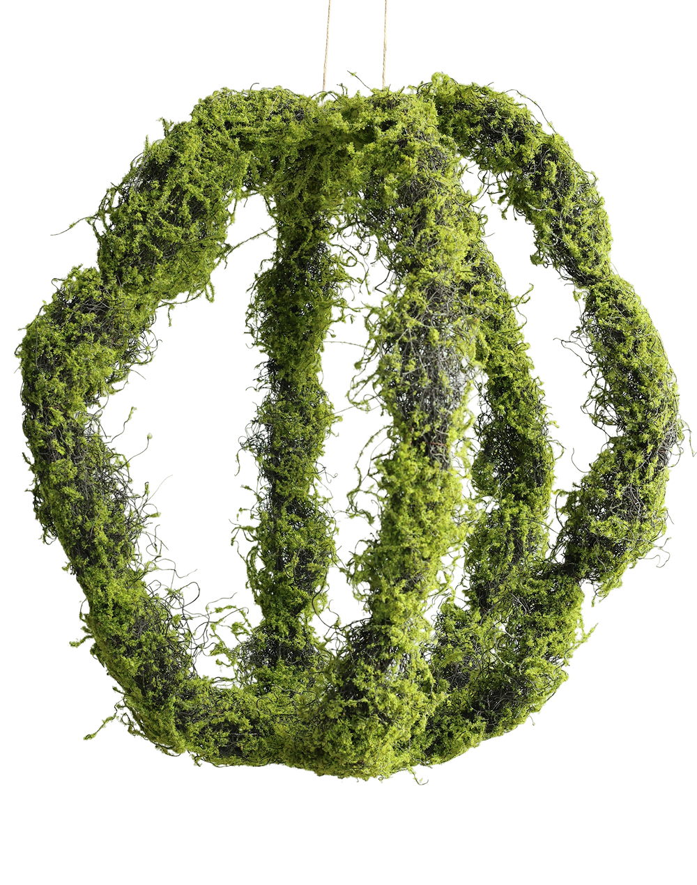 Hanging Moss Art- Large