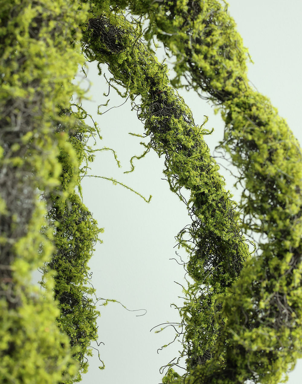 Hanging Moss Art- Large