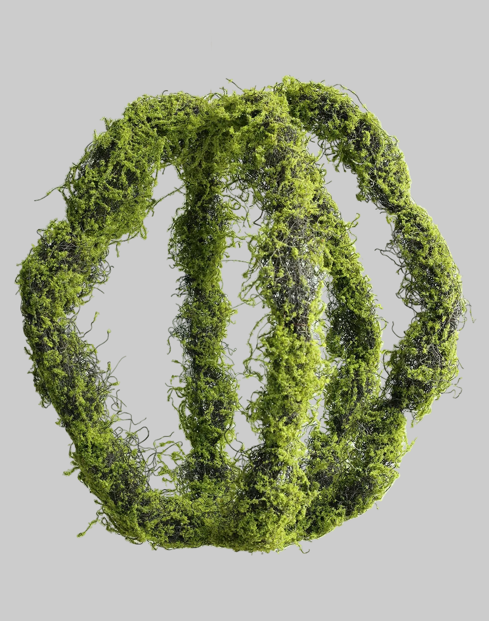 Hanging Moss Art- Large