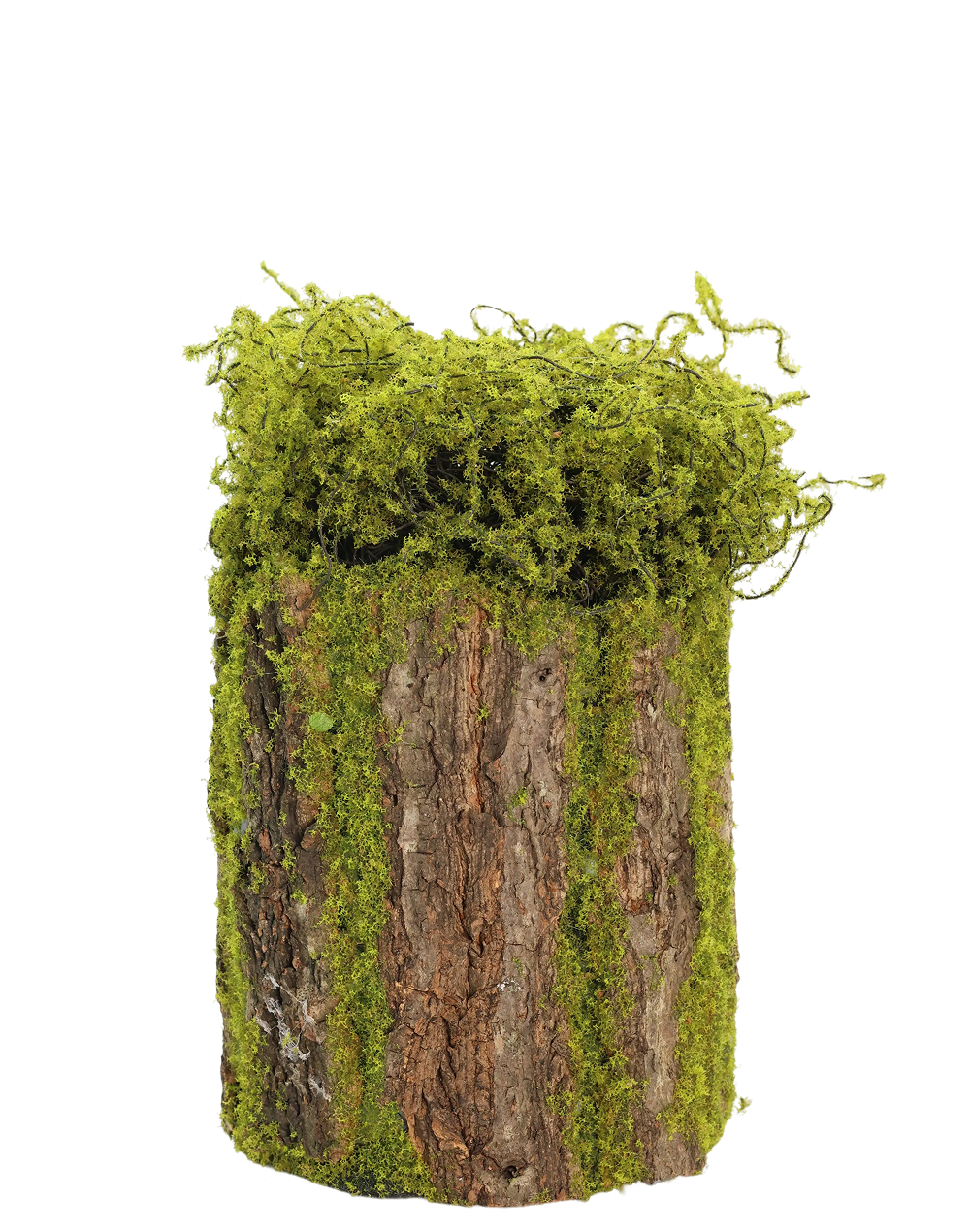 Moss Decorative Planter | Available in 3 Sizes