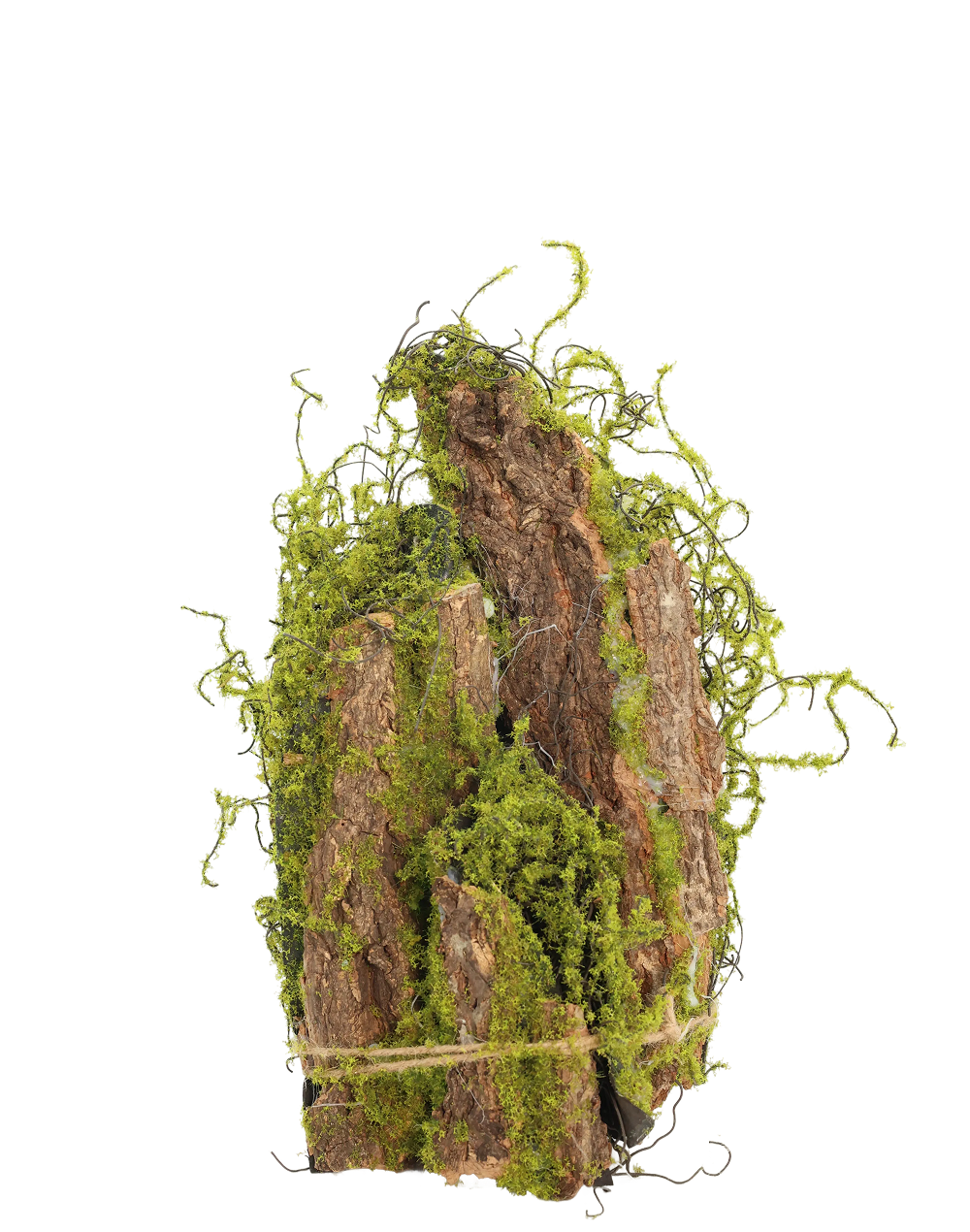 Moss Decorative