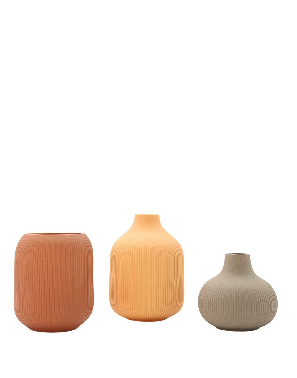 Terra Pod Collection (Set of 3)