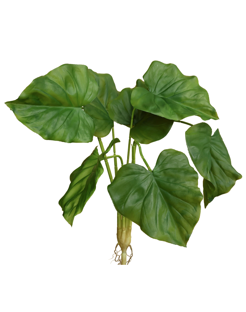 Faux Elephant Ear Green