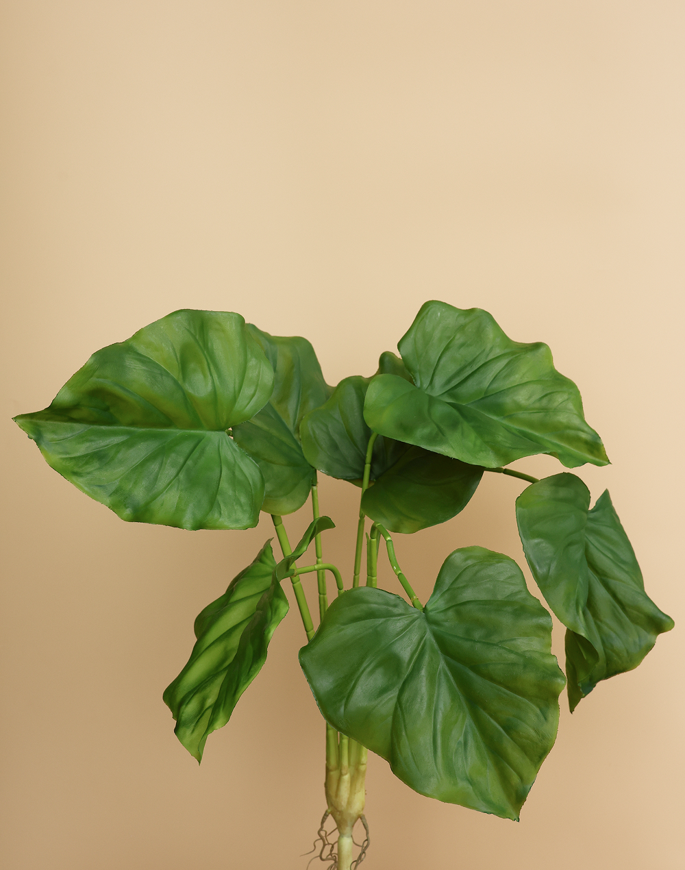 Faux Elephant Ear Green