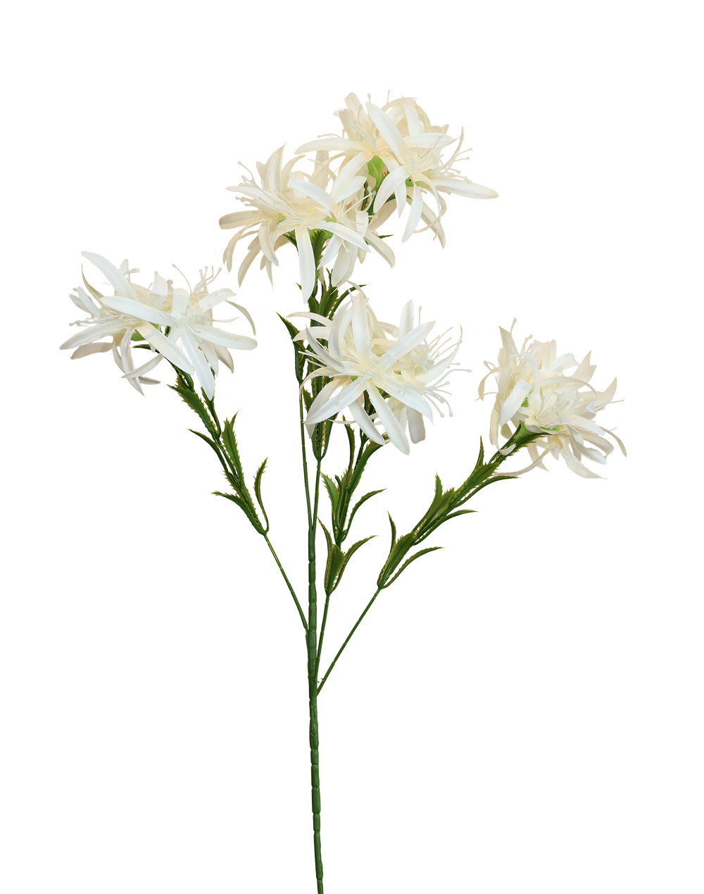 Silk Spider Chrysanthemum Spray | Available in 3 Colors