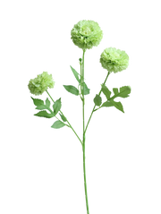3-Head Pompom Spray | Available in 4 Colors