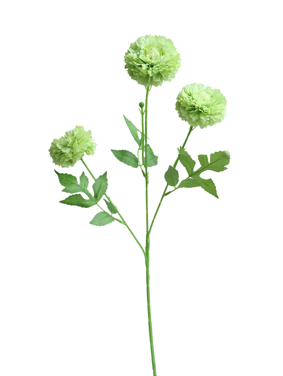 3-Head Pompom Spray | Available in 4 Colors