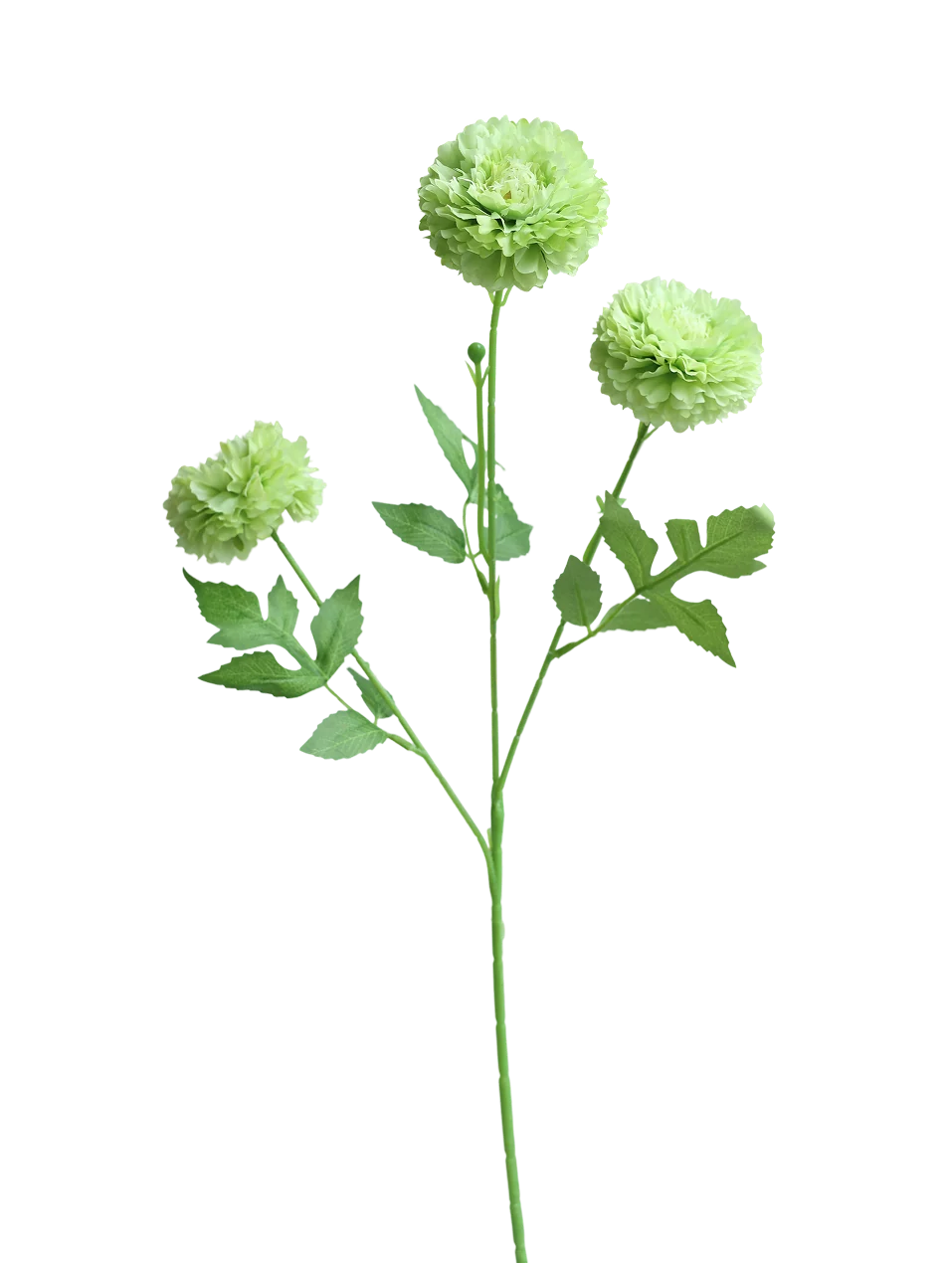 3-Head Pompom Spray | Available in 4 Colors
