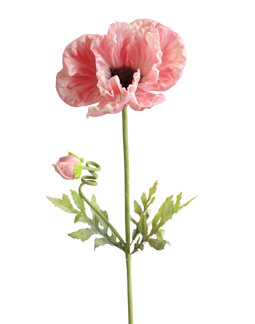 Pink Poppy 33"