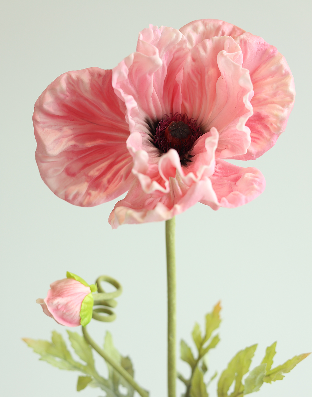 Pink Poppy 33"