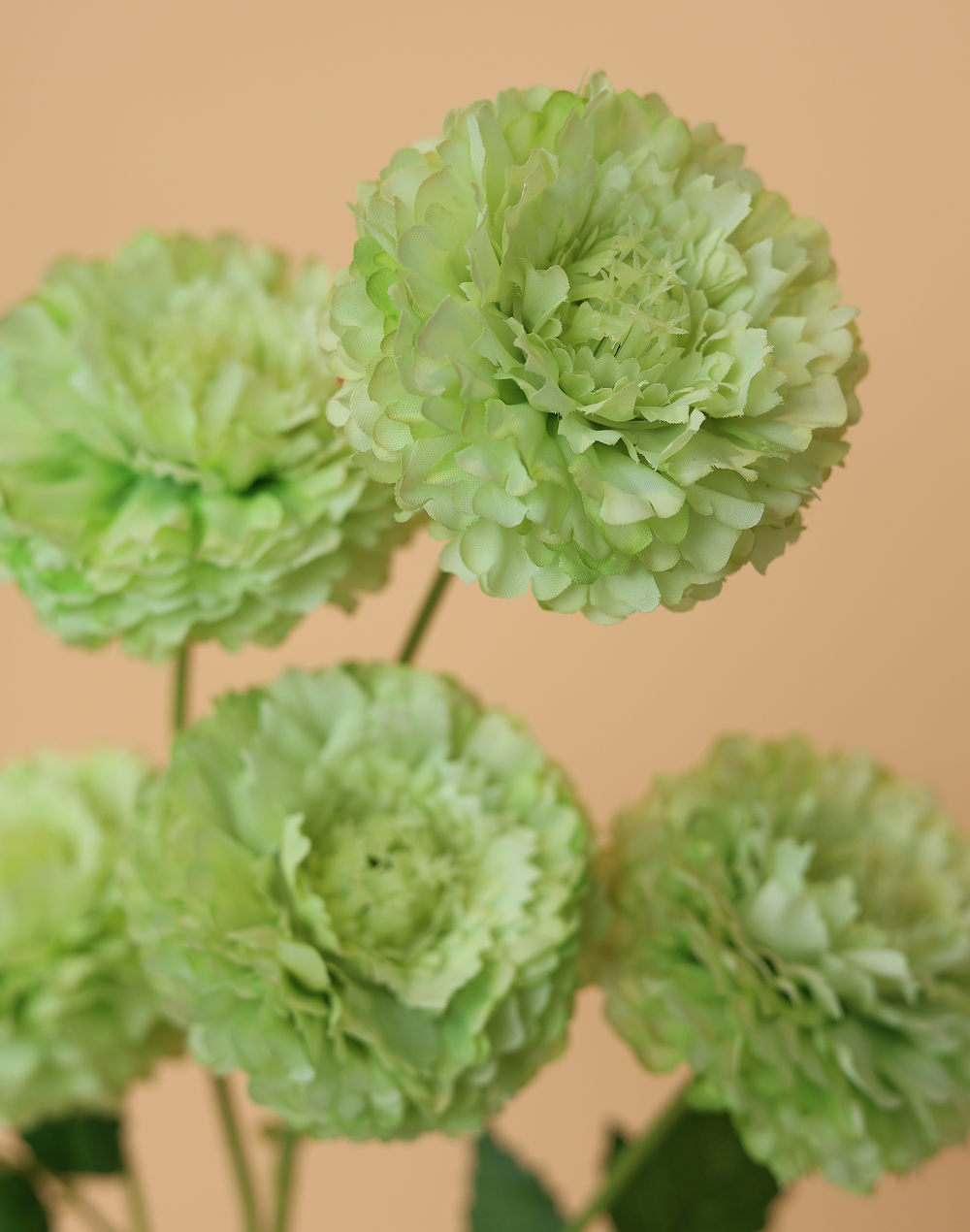 Green 6-Head Pompom Spray
