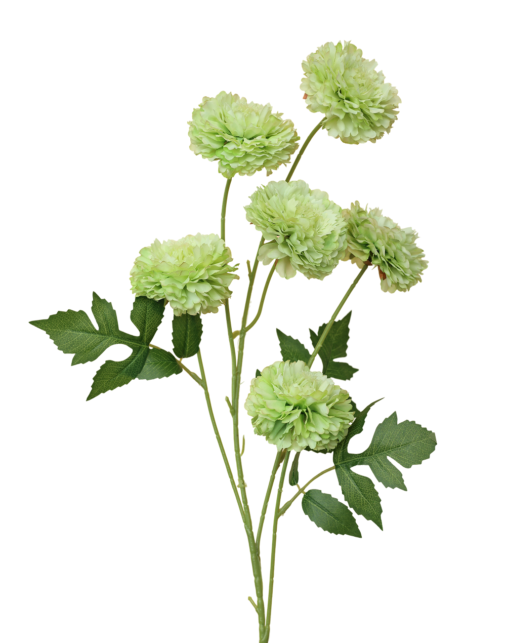 Green 6-Head Pompom Spray
