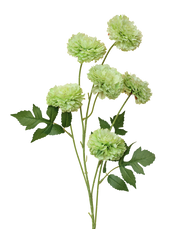 Green 6-Head Pompom Spray
