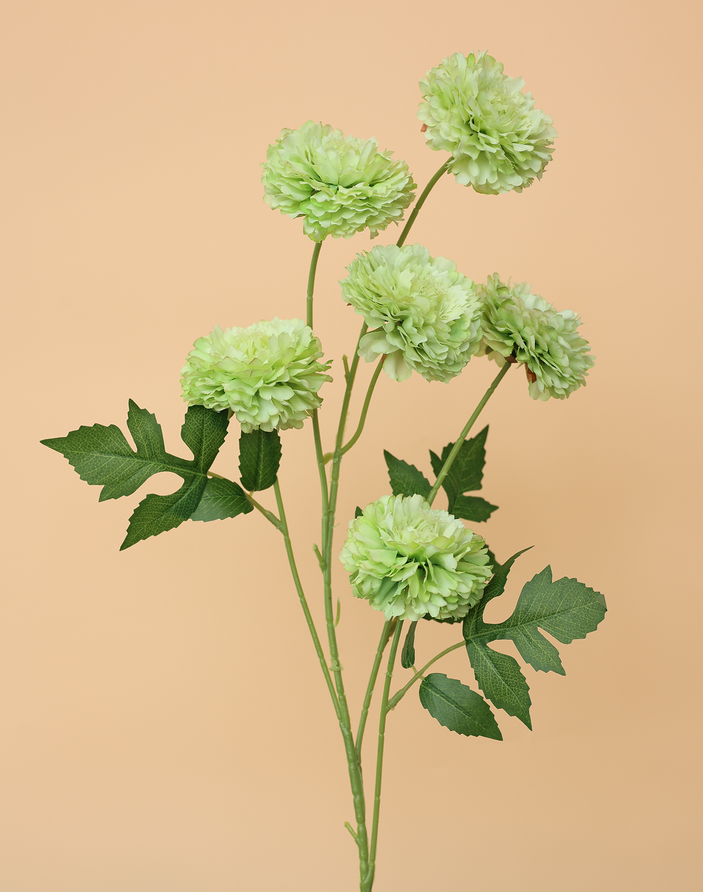 Green 6-Head Pompom Spray